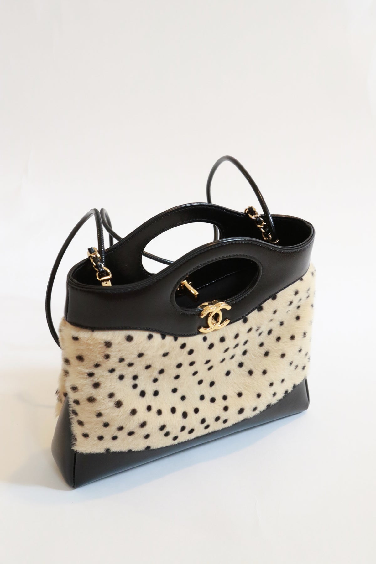 Métiers d'Art 2026 Cheetah Print Calf Hair Mini 31 Shopping Bag
